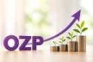Hospodaření OZP je v plusu